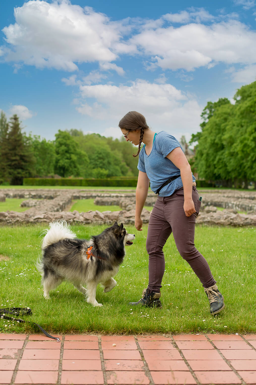 Dog Training & Behaviour Company, Leicestershire