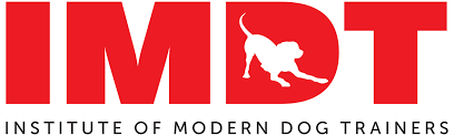 IMDT Logo